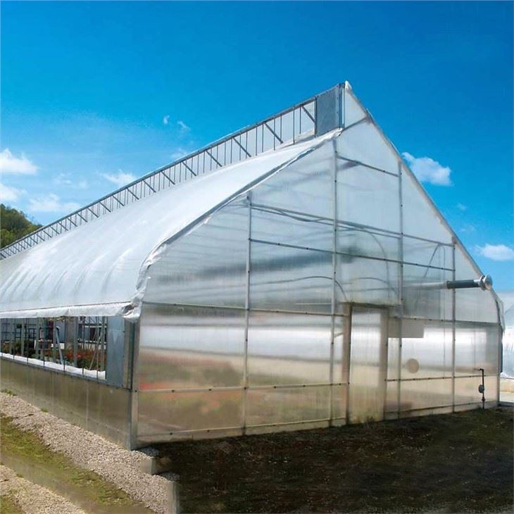 Chili Greenhouse